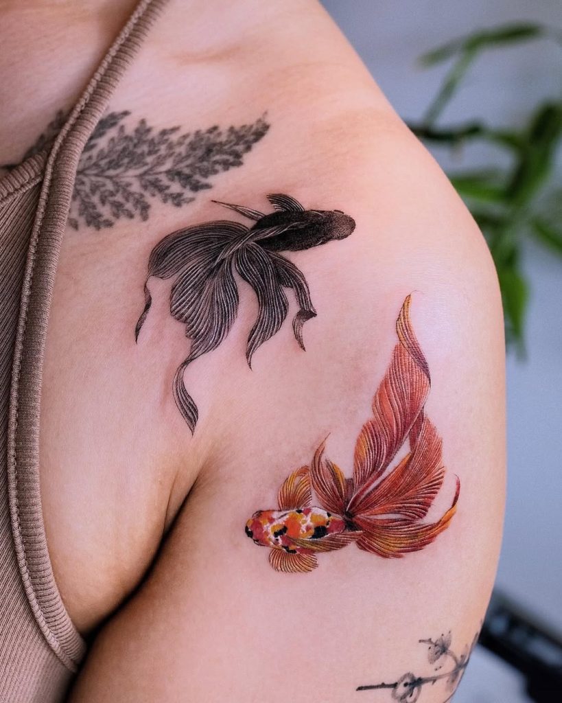 A delicate shoulder tattoo of realistic black and red goldfish